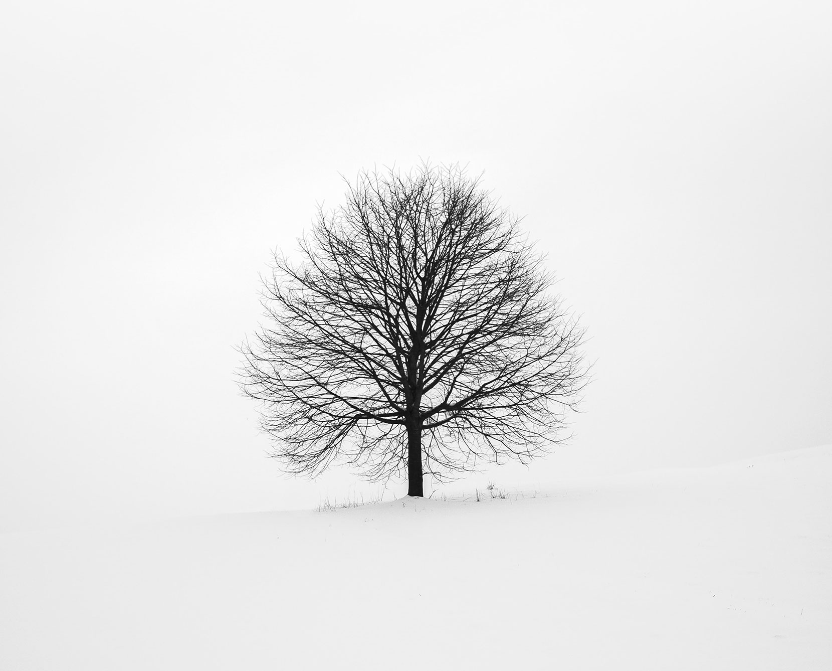 Single Image Project1