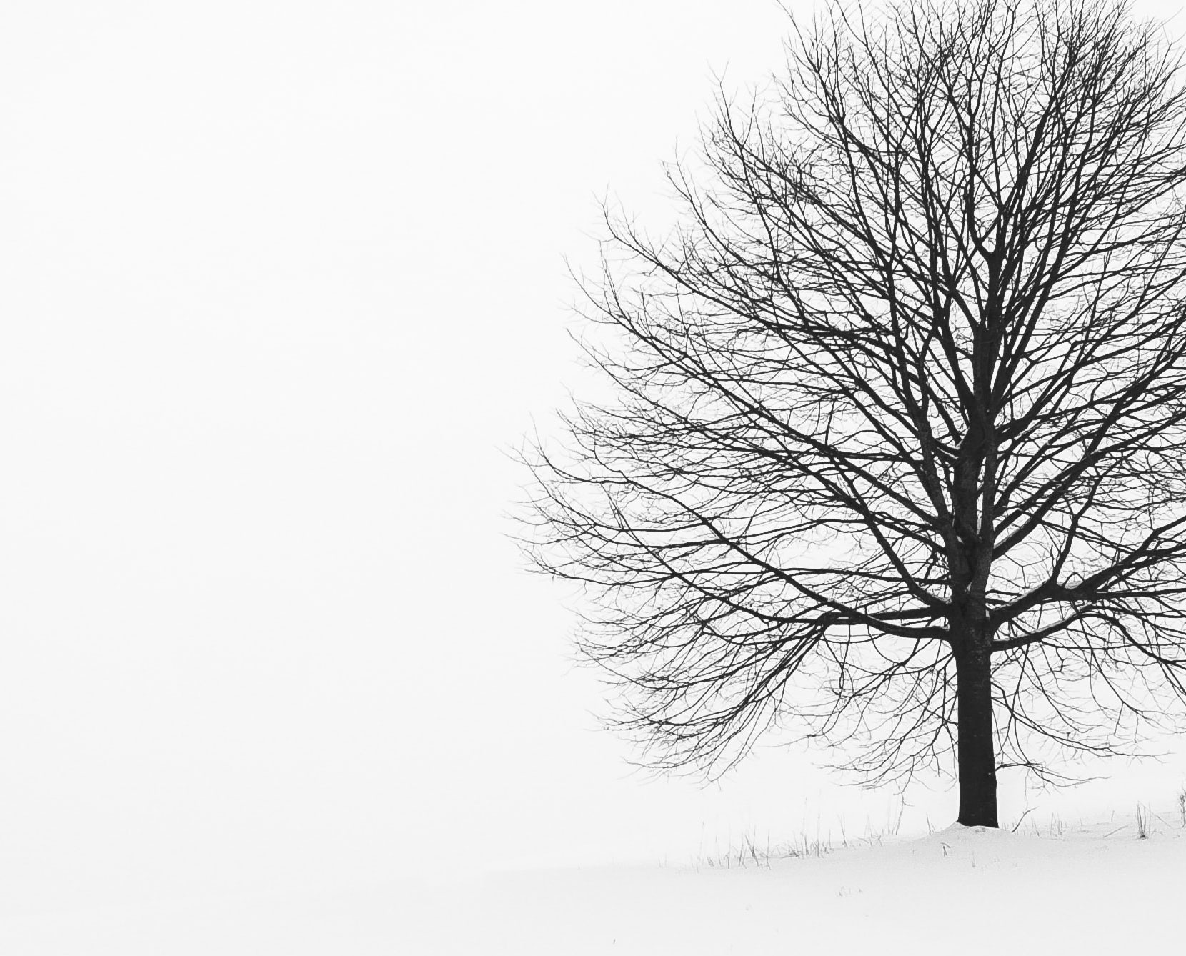 Single Image Project11