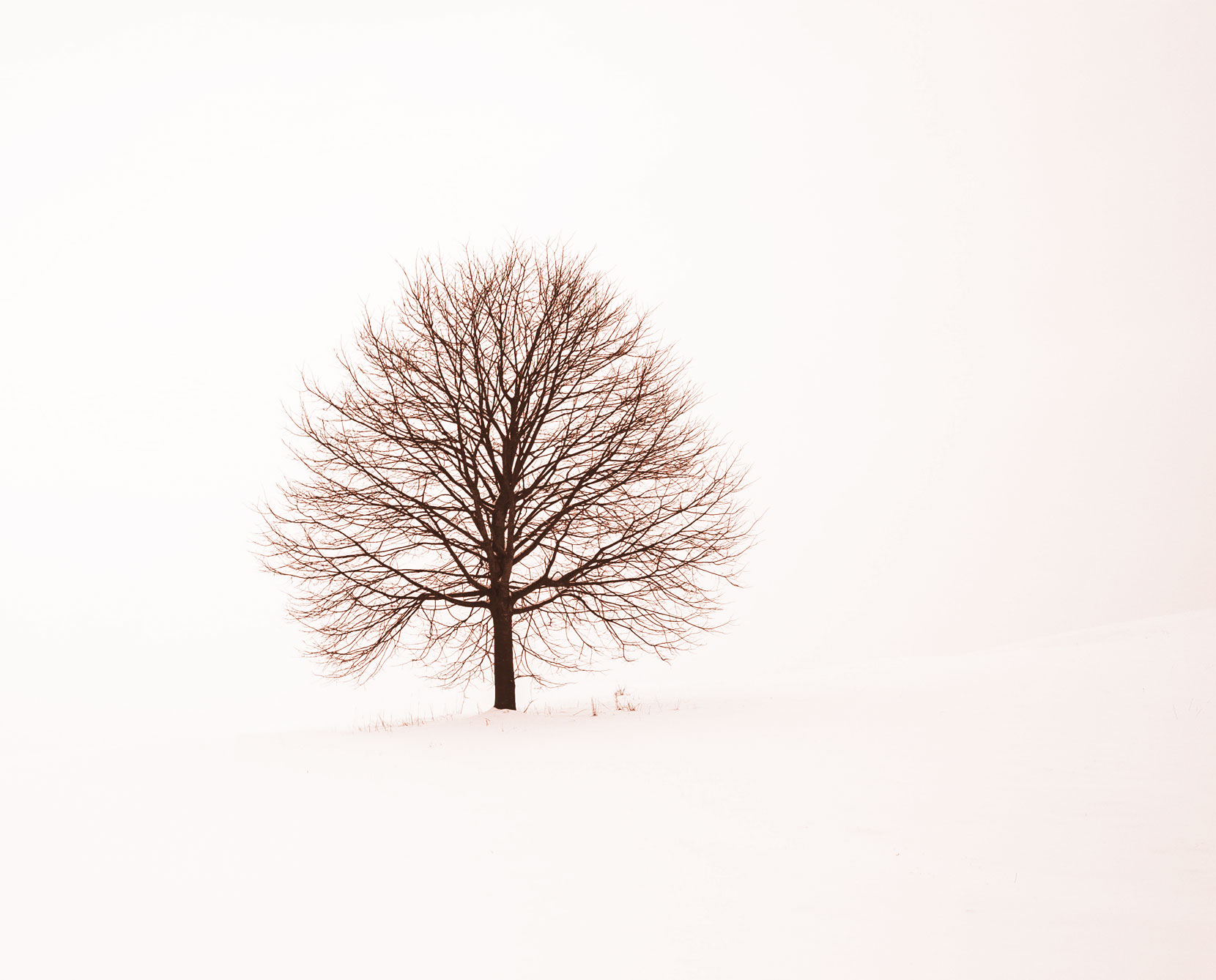 Single Image Project13