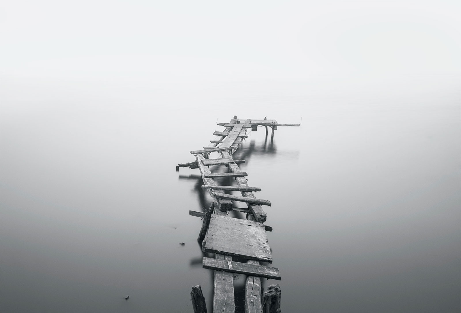 Single Image1